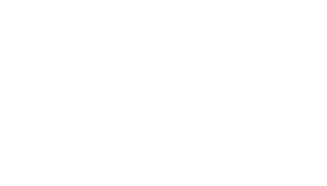logotipo de la empresa VORS CONTROL